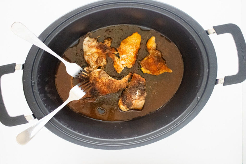 Shredding seasoned slow cooker chicken with two forks for BBQ chicken egg roll filling.
